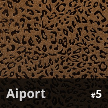 Aiport 5